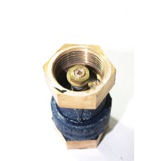 GM NRV Check Valve/Non Return Valve Vertical Lift Screwed Forged ISI Marked (RMW)